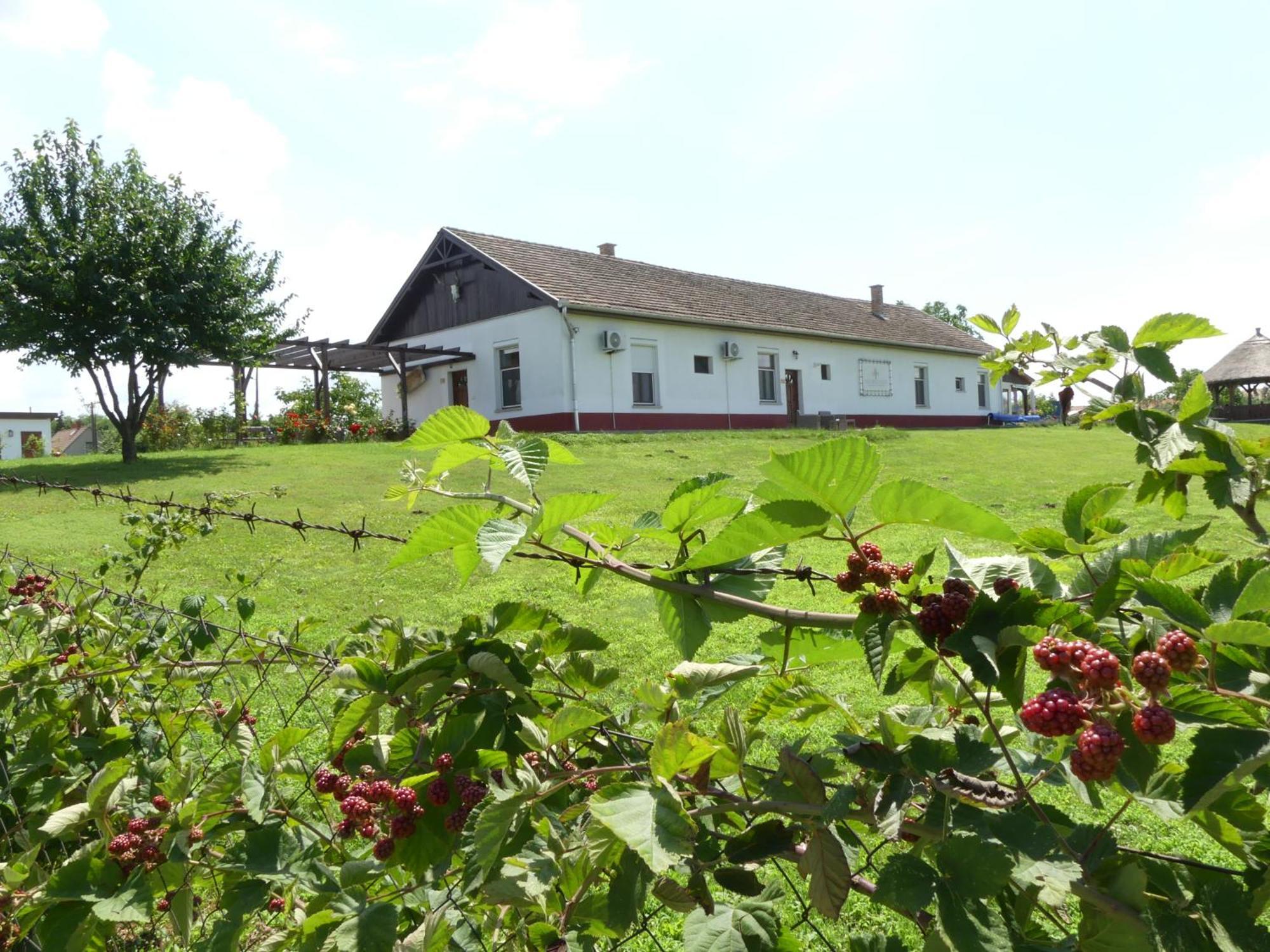 Tisza White House Tiszaszolos Exterior foto